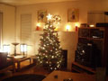 living room decked out for christmas.jpg